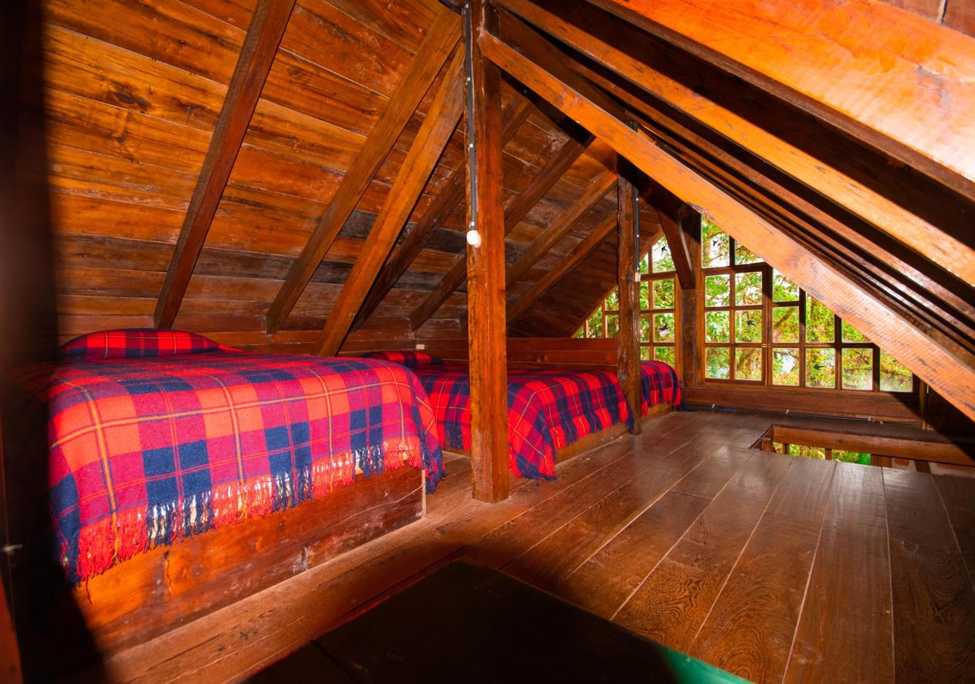 Bellavista Cloud Forest Lodge & Private Protected Area Tandayapa Kültér fotó