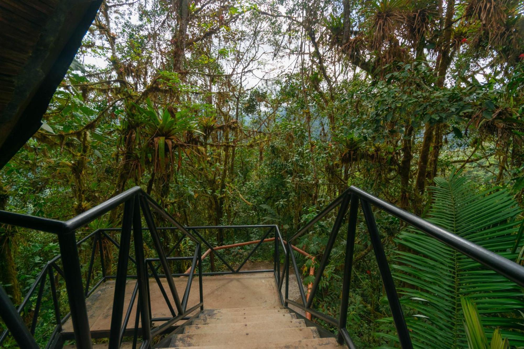 Bellavista Cloud Forest Lodge & Private Protected Area Tandayapa Kültér fotó