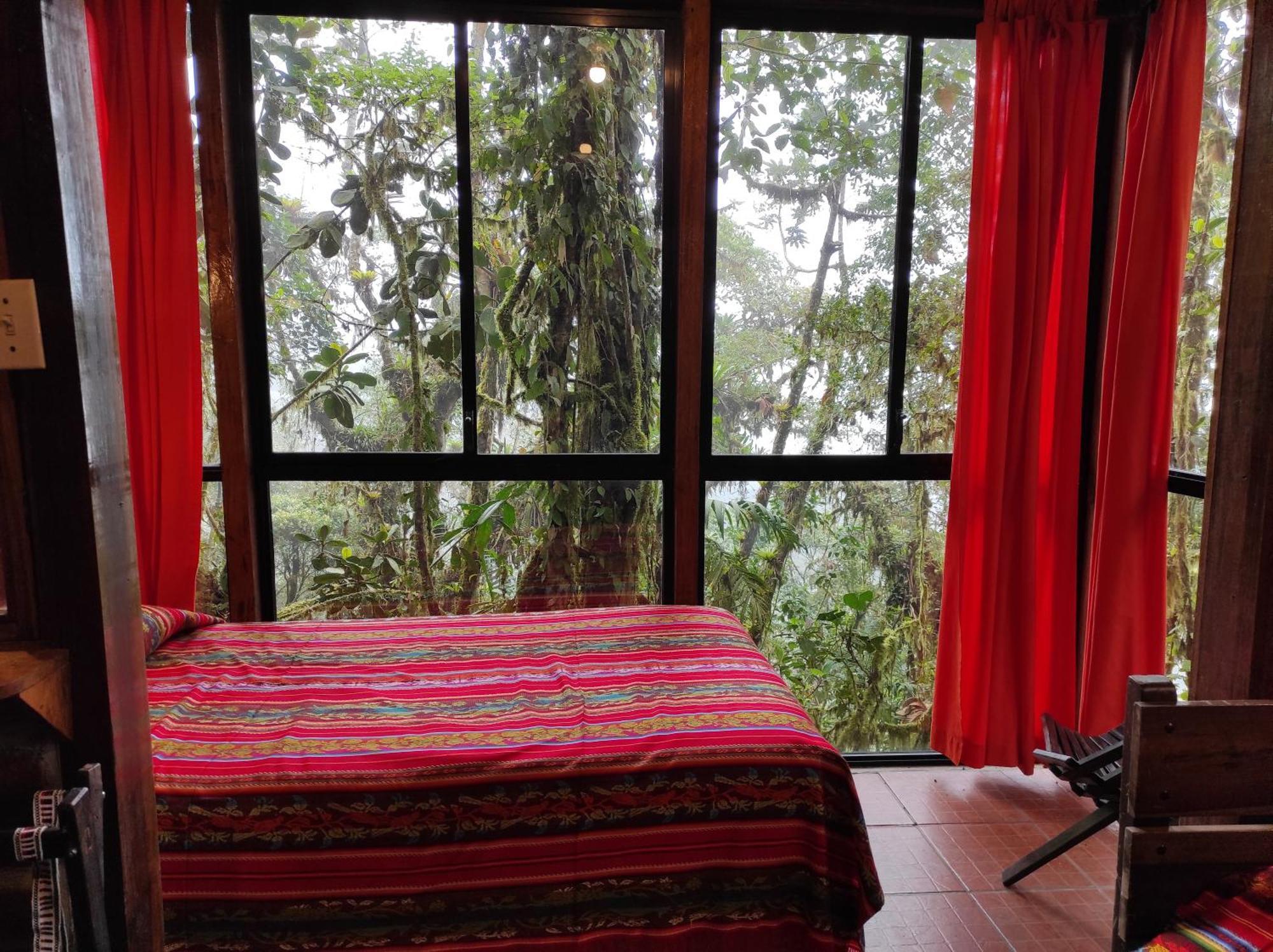Bellavista Cloud Forest Lodge & Private Protected Area Tandayapa Kültér fotó