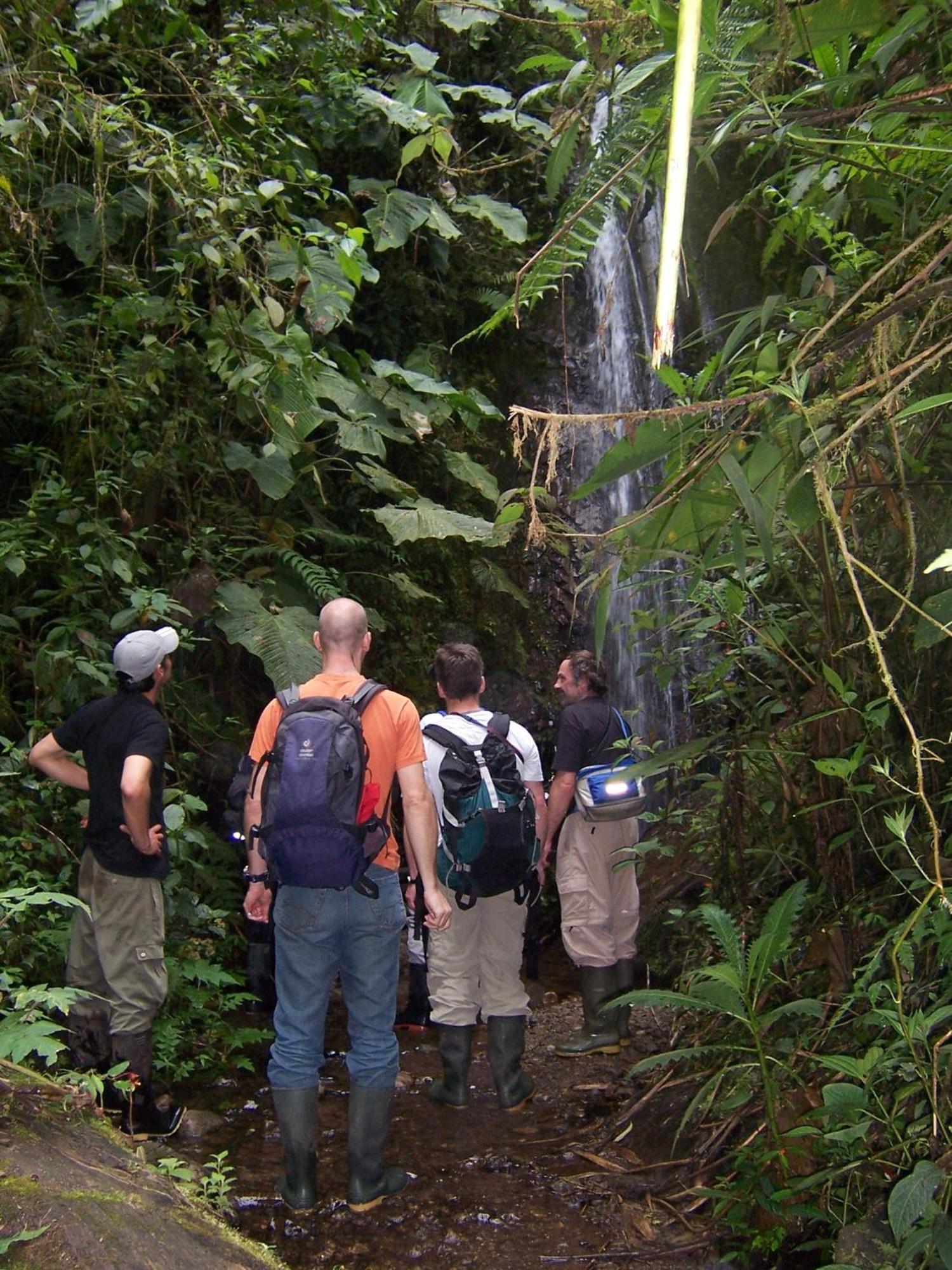 Bellavista Cloud Forest Lodge & Private Protected Area Tandayapa Kültér fotó