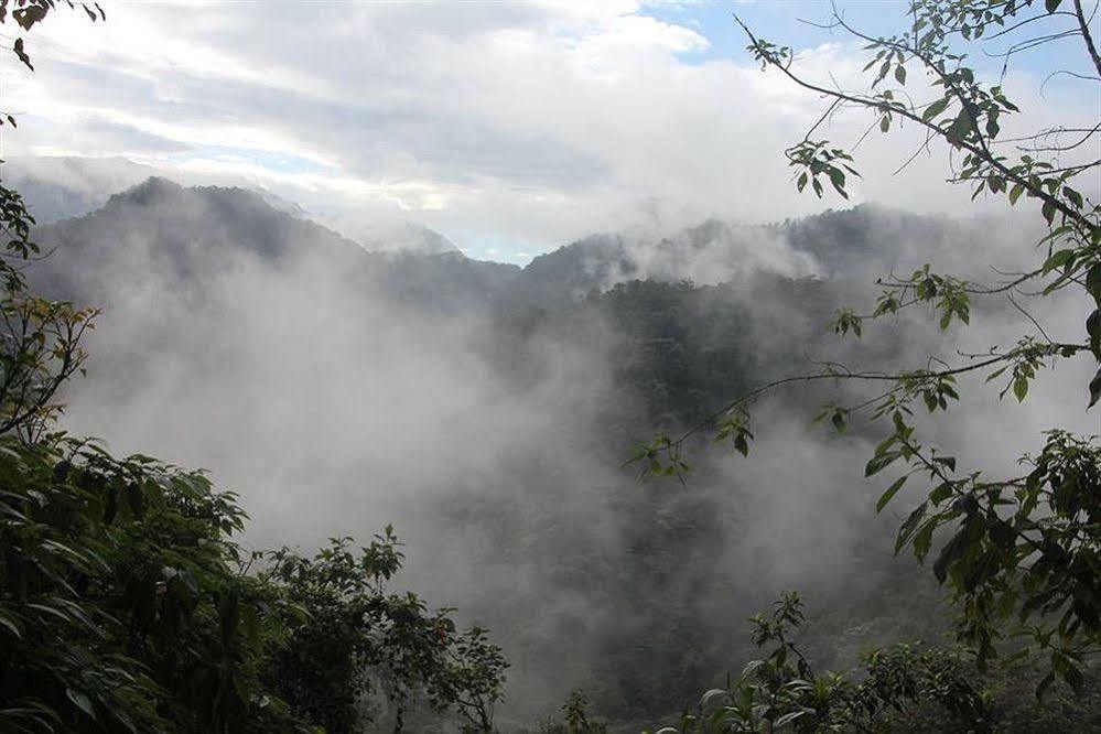 Bellavista Cloud Forest Lodge & Private Protected Area Tandayapa Kültér fotó