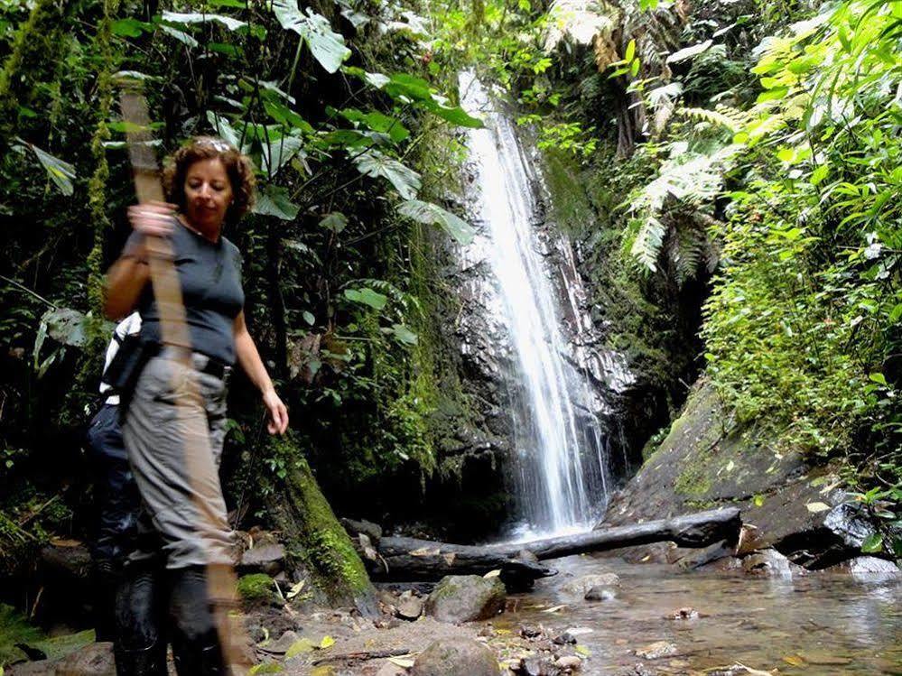 Bellavista Cloud Forest Lodge & Private Protected Area Tandayapa Kültér fotó