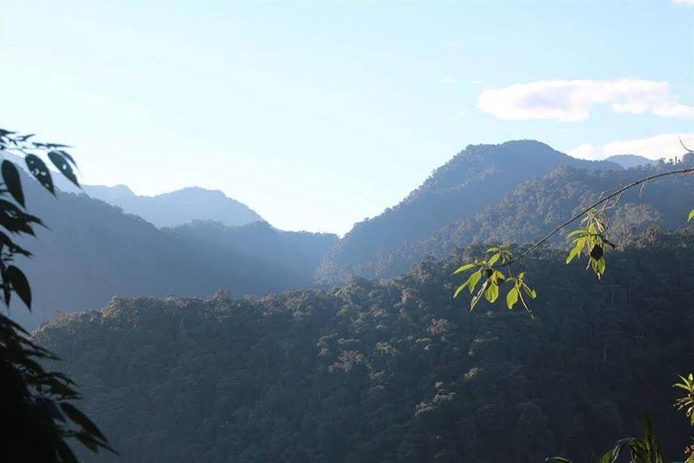 Bellavista Cloud Forest Lodge & Private Protected Area Tandayapa Kültér fotó